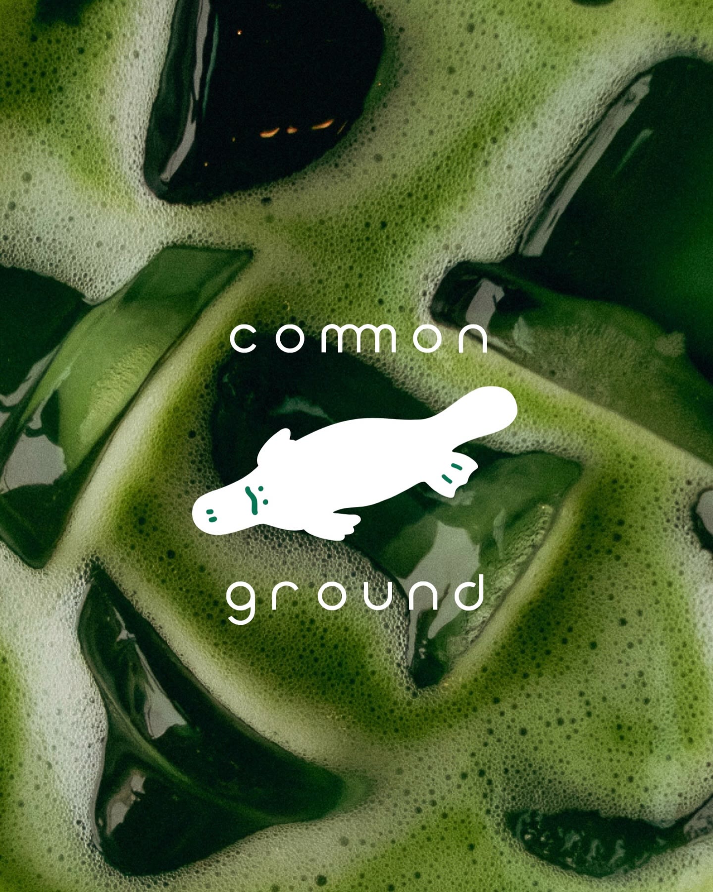 common ground, written in matcha